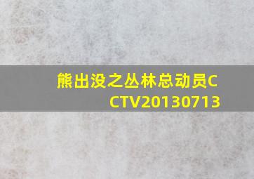 熊出没之丛林总动员CCTV20130713