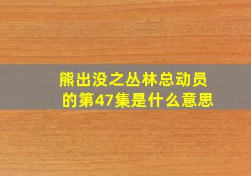 熊出没之丛林总动员的第47集是什么意思