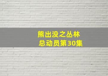 熊出没之丛林总动员第30集