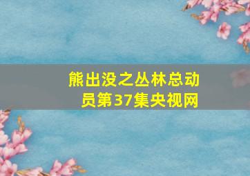 熊出没之丛林总动员第37集央视网