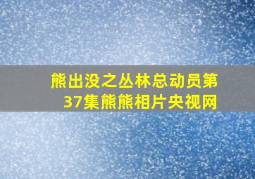 熊出没之丛林总动员第37集熊熊相片央视网