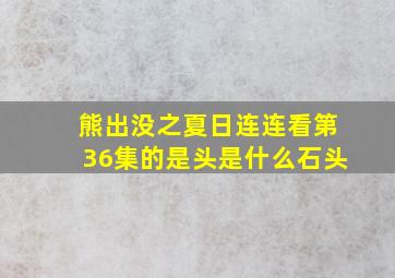 熊出没之夏日连连看第36集的是头是什么石头