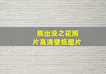 熊出没之花照片高清壁纸图片