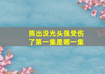 熊出没光头强受伤了第一集是哪一集