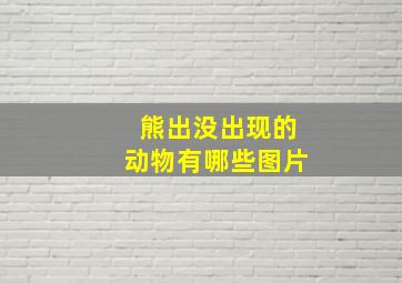 熊出没出现的动物有哪些图片