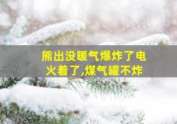 熊出没暖气爆炸了电火着了,煤气罐不炸