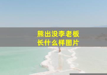 熊出没李老板长什么样图片