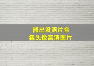 熊出没照片合集头像高清图片