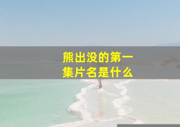 熊出没的第一集片名是什么