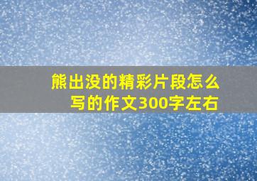 熊出没的精彩片段怎么写的作文300字左右