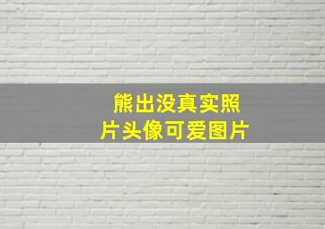 熊出没真实照片头像可爱图片