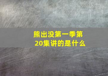 熊出没第一季第20集讲的是什么