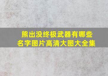 熊出没终极武器有哪些名字图片高清大图大全集