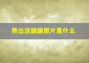 熊出没蹦蹦图片是什么