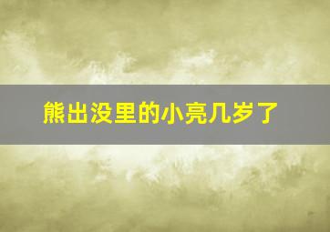 熊出没里的小亮几岁了