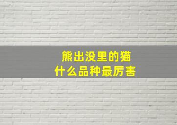 熊出没里的猫什么品种最厉害