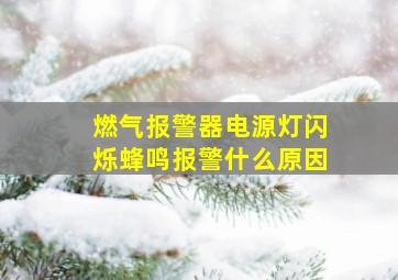 燃气报警器电源灯闪烁蜂鸣报警什么原因