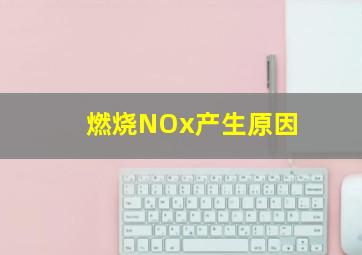 燃烧NOx产生原因