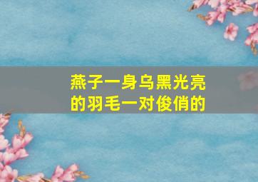 燕子一身乌黑光亮的羽毛一对俊俏的