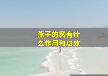 燕子的窝有什么作用和功效