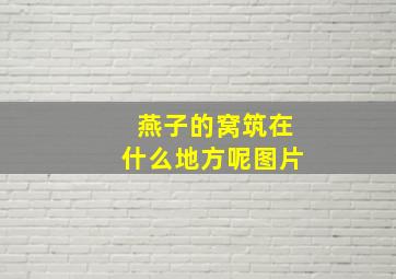 燕子的窝筑在什么地方呢图片