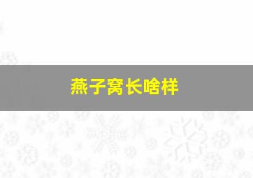 燕子窝长啥样