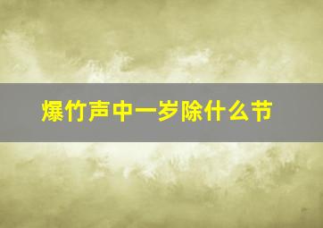 爆竹声中一岁除什么节