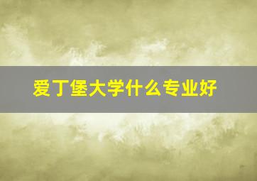 爱丁堡大学什么专业好