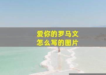 爱你的罗马文怎么写的图片