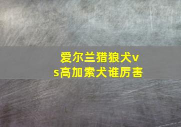 爱尔兰猎狼犬vs高加索犬谁厉害