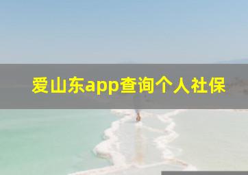 爱山东app查询个人社保