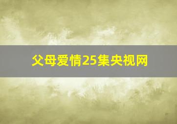 父母爱情25集央视网