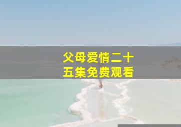 父母爱情二十五集免费观看