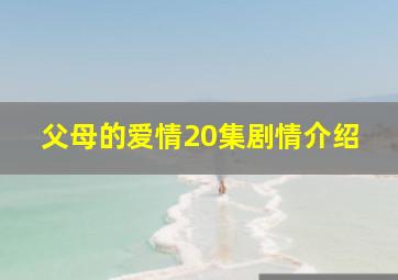 父母的爱情20集剧情介绍