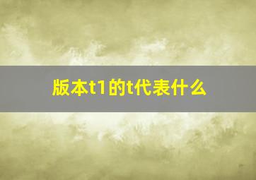 版本t1的t代表什么