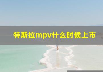 特斯拉mpv什么时候上市