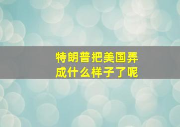 特朗普把美国弄成什么样子了呢