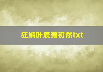 狂婿叶辰萧初然txt