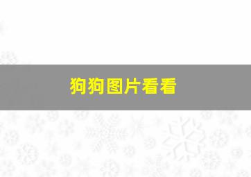 狗狗图片看看