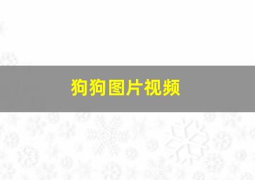 狗狗图片视频