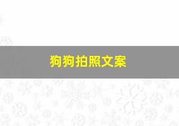 狗狗拍照文案