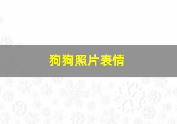 狗狗照片表情