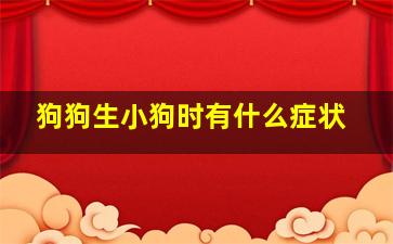 狗狗生小狗时有什么症状