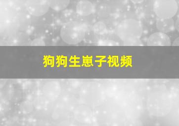 狗狗生崽子视频