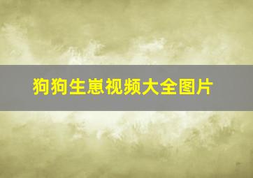 狗狗生崽视频大全图片