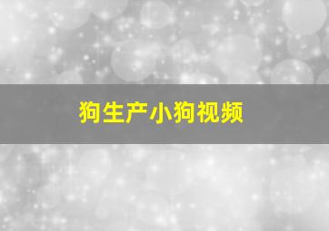 狗生产小狗视频