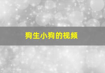 狗生小狗的视频