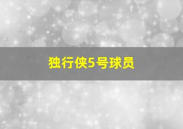 独行侠5号球员