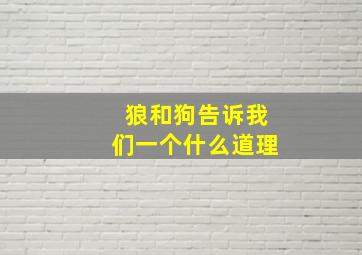 狼和狗告诉我们一个什么道理