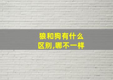 狼和狗有什么区别,哪不一样